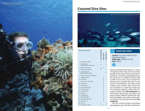 خرید و دانلود نسخه کامل کتاب Lonely Planet Diving & Snorkeling Cozumel_68c0705f75832.jpeg خرید و دانلود نسخه کامل کتاب Lonely Planet Diving & Snorkeling Cozumel