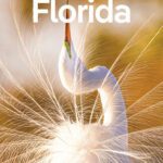 خرید و دانلود نسخه کامل کتاب Lonely Planet Florida 10 (Travel Guide)