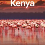 خرید و دانلود نسخه کامل کتاب Lonely Planet Kenya 11 (Travel Guide)