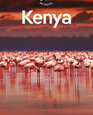 خرید و دانلود نسخه کامل کتاب Lonely Planet Kenya 11 (Travel Guide)