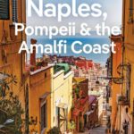 خرید و دانلود نسخه کامل کتاب Lonely Planet Naples, Pompeii & the Amalfi Coast 8 (Travel Guide)
