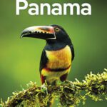 خرید و دانلود نسخه کامل کتاب Lonely Planet Panama 10 (Travel Guide)