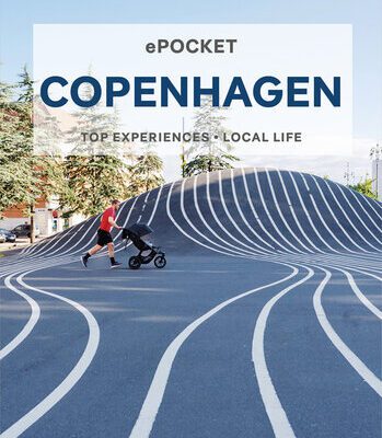 خرید و دانلود نسخه کامل کتاب Lonely Planet Pocket Copenhagen 6 (Pocket Guide)