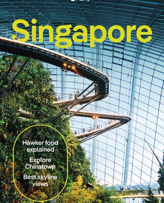 خرید و دانلود نسخه کامل کتاب Lonely Planet Singapore (Travel Guide)