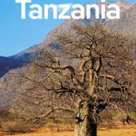 خرید و دانلود نسخه کامل کتاب Lonely Planet Tanzania 8 (Travel Guide)