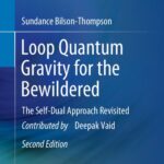 خرید و دانلود نسخه کامل کتاب Loop Quantum Gravity for the Bewildered