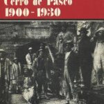 خرید و دانلود نسخه کامل کتاب Los mineros de la Cerro de Pasco 1900-1930
