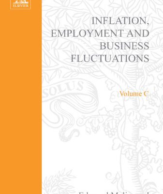 خرید و دانلود نسخه کامل کتاب Macroeconomic theory: a textbook on macroeconomic knowledge and analysis
