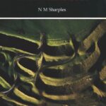 خرید و دانلود نسخه کامل کتاب Maiden Castle: Excavations and Field Survey 1985-6
