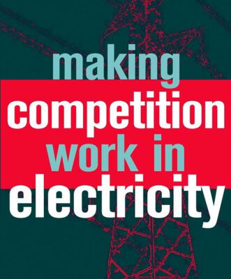 خرید و دانلود نسخه کامل کتاب Making Competition Work in Electricity