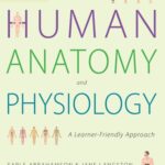 خرید و دانلود نسخه کامل کتاب Making Sense of Human Anatomy and Physiology: A Learner-Friendly Approach