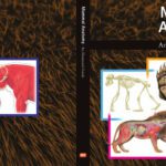 خرید و دانلود نسخه کامل کتاب Mammal Anatomy: An Illustrated Guide