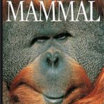 خرید و دانلود نسخه کامل کتاب Mammal (DK Eyewitness Books)