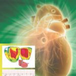 خرید و دانلود نسخه کامل کتاب Manual of Electrophysiology