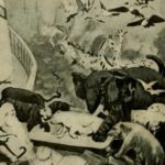 خرید و دانلود نسخه کامل کتاب Manual of Veterinary Homeopathy