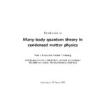 خرید و دانلود نسخه کامل کتاب Many body Q theory in CM