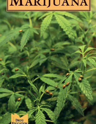 خرید و دانلود نسخه کامل کتاب Marijuana