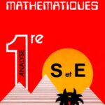 خرید و دانلود نسخه کامل کتاب Mathématiques 1re S et E