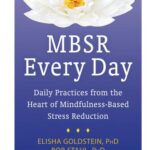 خرید و دانلود نسخه کامل کتاب MBSR Every Day: Daily Practices From the Heart of Mindfulness-Based Stress Reduction