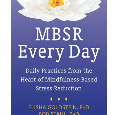 خرید و دانلود نسخه کامل کتاب MBSR Every Day: Daily Practices From the Heart of Mindfulness-Based Stress Reduction