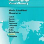 خرید و دانلود نسخه کامل کتاب McDougal Littell Multi-Language Visual Glossary. Middle School Math. English – Russian