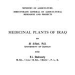 خرید و دانلود نسخه کامل کتاب Medicinal Plants of Iraq