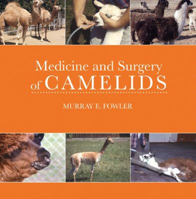 خرید و دانلود نسخه کامل کتاب Medicine and Surgery of Camelids, 3rd Edition