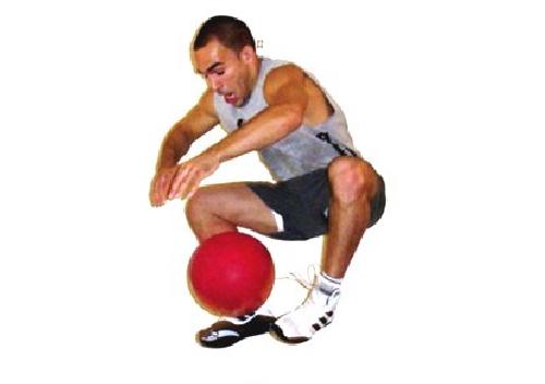 خرید و دانلود نسخه کامل کتاب Medicine Ball Training_68b6fa79a9a3c.jpeg خرید و دانلود نسخه کامل کتاب Medicine Ball Training