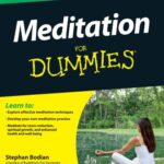 خرید و دانلود نسخه کامل کتاب Meditation for Dummies