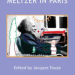 خرید و دانلود نسخه کامل کتاب Meltzer in Paris