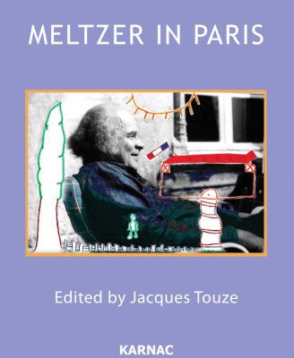 خرید و دانلود نسخه کامل کتاب Meltzer in Paris