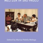 خرید و دانلود نسخه کامل کتاب Meltzer in Sao Paulo: Clinical Seminars with Members of the Brazilian Psychoanalytic Society