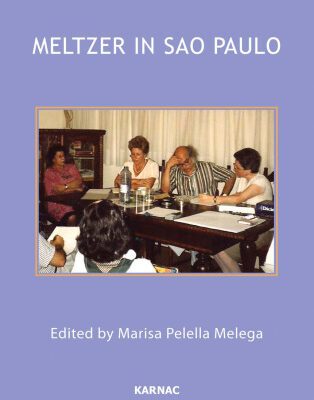 خرید و دانلود نسخه کامل کتاب Meltzer in Sao Paulo: Clinical Seminars with Members of the Brazilian Psychoanalytic Society