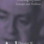 خرید و دانلود نسخه کامل کتاب Metaphysics: Concept and Problems