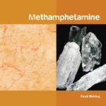 خرید و دانلود نسخه کامل کتاب Methamphetamine (Drugs: the Straight Facts)