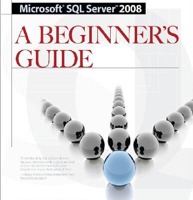 خرید و دانلود نسخه کامل کتاب Microsoft SQL Server 2008 a Beginner’s Guide