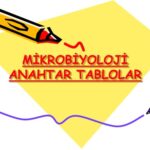 خرید و دانلود نسخه کامل کتاب Mikrobiyoloji Anahtar Tablolar