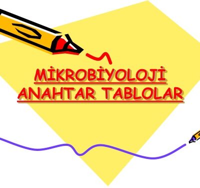 خرید و دانلود نسخه کامل کتاب Mikrobiyoloji Anahtar Tablolar