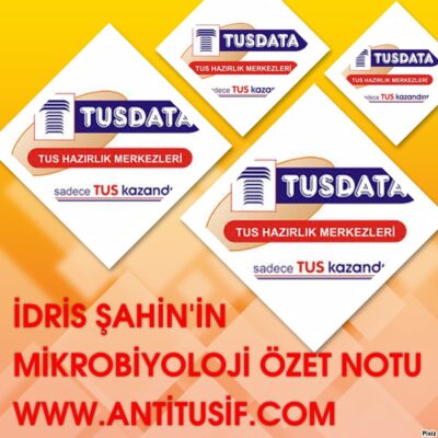 خرید و دانلود نسخه کامل کتاب Mikrobiyoloji Özet Notu