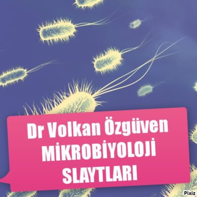 خرید و دانلود نسخه کامل کتاب Mikrobiyoloji Slaytları