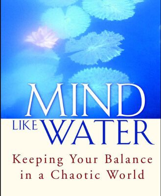 خرید و دانلود نسخه کامل کتاب Mind Like Water: Keeping Your Balance in a Chaotic World