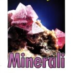 خرید و دانلود نسخه کامل کتاب Minerali. Vedere e capire