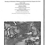 خرید و دانلود نسخه کامل کتاب Mineralogy and Distribution of Platinum-group Mineral (PGM) Placer Deposits of the World