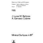 خرید و دانلود نسخه کامل کتاب Minimal Surfaces in R3