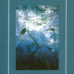 خرید و دانلود نسخه کامل کتاب Mirror to Nature: Drama, Psychoanalysis and Society