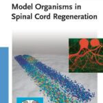 خرید و دانلود نسخه کامل کتاب Model Organisms in Spinal Cord Regeneration