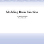 خرید و دانلود نسخه کامل کتاب Modeling Brain Function: The World of Attractor Neural Networks – PDF