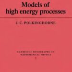 خرید و دانلود نسخه کامل کتاب Models of High Energy Processes