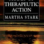 خرید و دانلود نسخه کامل کتاب Modes of Therapeutic Action