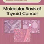 خرید و دانلود نسخه کامل کتاب Molecular Basis of Thyroid Cancer (Cancer Treatment and Research)
